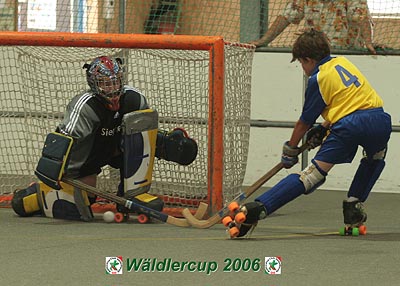 Waldlercup06_9872