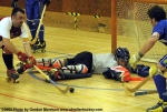HockeySkate-ak